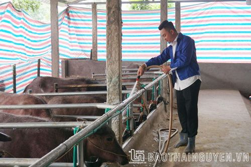 Triển khai tốt các chương trình đồng hành với thanh niên