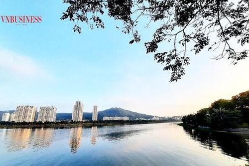 'Cổ đất' đua nhau tăng trần sau Nghị định 08