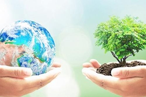 'Bước đột phá' trong việc bảo vệ đa dạng sinh học