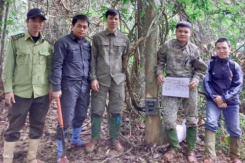 Đặt 'bẫy ảnh', bất ngờ phát hiện động vật siêu hiếm tại VQG Vũ Quang