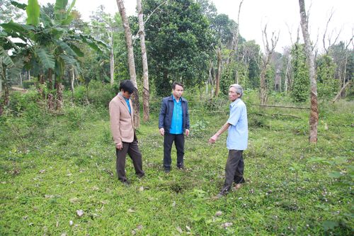 Người dân bất bình phát hiện cọc mốc GPMB cao tốc Vạn Ninh – Cam Lộ bị di dời