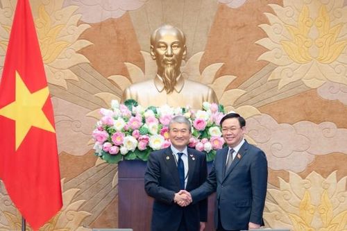 Việt Nam và Nhật Bản có nhiều tiềm năng để tiếp tục đẩy mạnh hợp tác thương mại, đầu tư