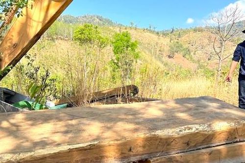 Vụ gỗ lậu trong bãi chứa cát: Lộ thêm hai điểm tập kết trong rừng cao su