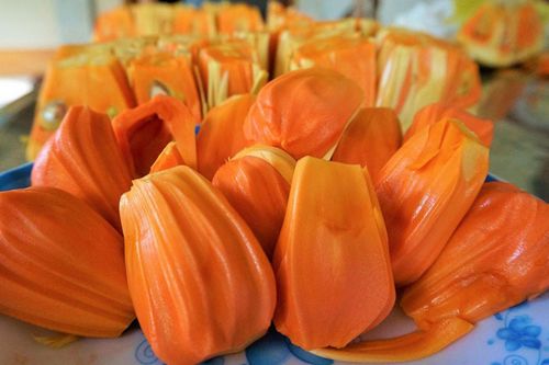 Giá mít neo cao, có loại tăng tới 100.000 đồng/kg