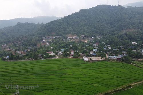 Điều chỉnh đất nông nghiệp: Cần công khai quy hoạch, không làm khó dân