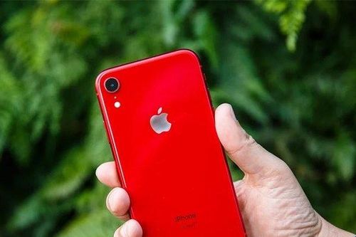 Chiếc iPhone giá 'mềm' này sẽ khiến iFan đứng lên ngồi xuống