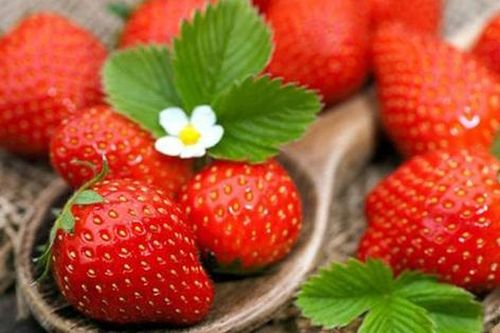 5 loại hoa quả cải thiện khả năng sinh sản ở cả nam và nữ