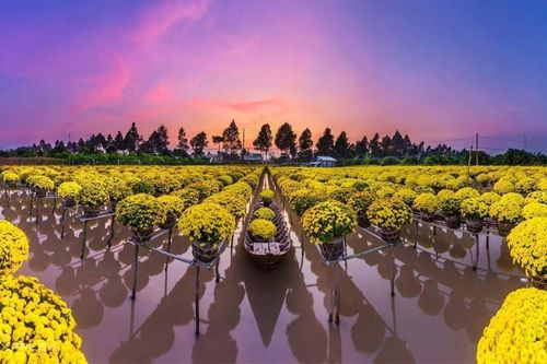 Làng hoa kiểng Sa Đéc phát triển đa dạng và bền vững theo thời đại