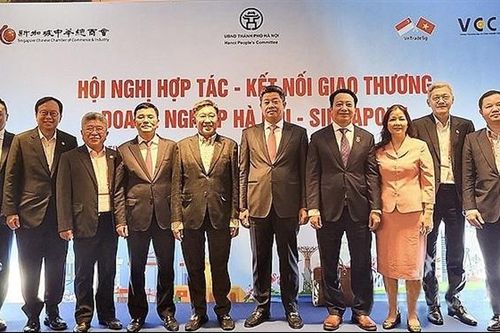 Kết nối giao thương doanh nghiệp Hà Nội - Singapore