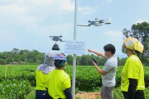 Đồng Tháp sẽ vận hành nền tảng chuyển đổi số nông nghiệp vào tháng 6/2023