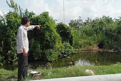 Vụ 'Chuyện lạ pháp đình tại Bạc Liêu': TAND tối cao có quyết định kháng nghị giám đốc thẩm