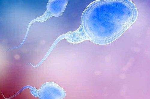 Những điều thú vị về sự khác biệt giữa tinh trùng và tinh dịch
