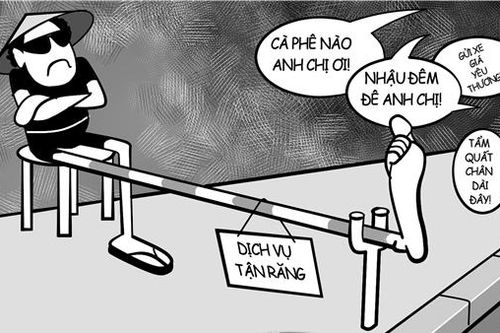 Phỏng vấn lá vàng