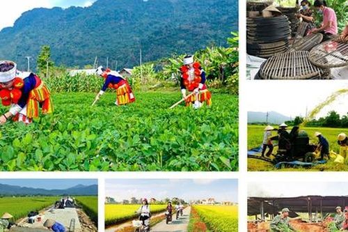 Kiện toàn Ban Chỉ đạo Trung ương các chương trình mục tiêu quốc gia