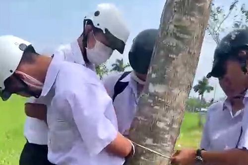 Nhóm nam sinh dàn cảnh giả đánh nhau, Sở GD&ĐT Cà Mau ra văn bản chấn chỉnh