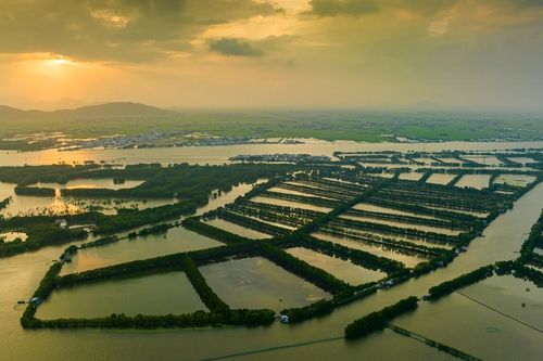 Khu sinh thái Cồn Chim - 'ốc đảo xanh' tuyệt mỹ ở Bình Định