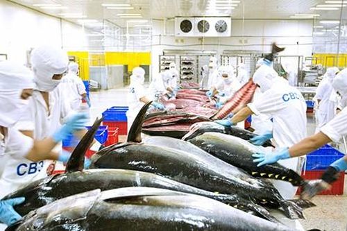 Đang xúc tiến lập trung tâm giao dịch thủy sản Việt Nam tại Phòng Thành Cảng - Trung Quốc