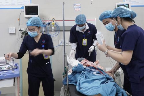 Đâm vào chó, người phụ nữ bị chấn thương sọ não