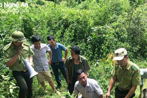 Huyện Tương Dương tiếp nhận và chi trả hơn 209 tỷ đồng tiền dịch vụ bảo vệ rừng