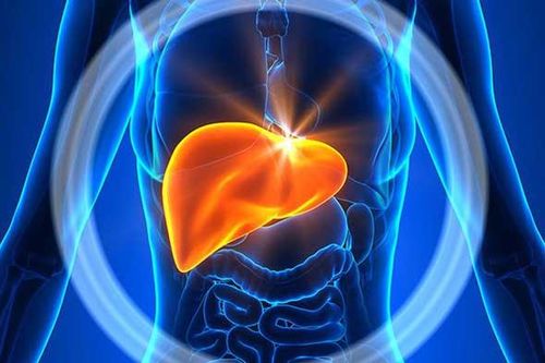 3 mốc 'vàng' và 4 bí quyết để nuôi dưỡng một lá gan khỏe mạnh, thải độc tố ra khỏi cơ thể