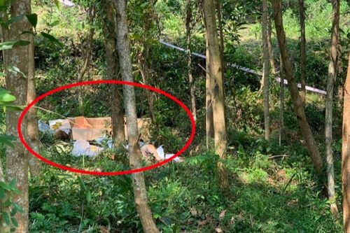 Bên trong thùng carton nghi có thi hài trẻ em bị vứt bỏ, phát hiện sự thật bất ngờ