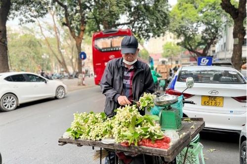 Hương bưởi đầu mùa 'xao lòng' người Hà Nội