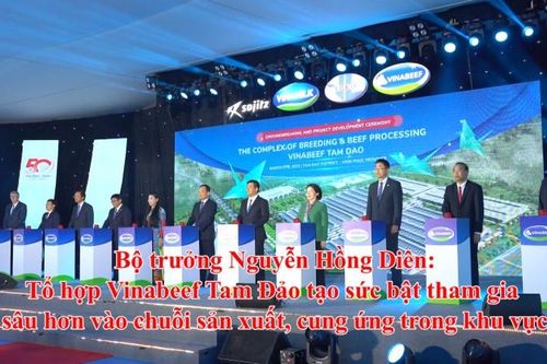Tổ hợp Vinabeef Tam Đảo tạo sức bật tham gia sâu hơn vào chuỗi sản xuất, cung ứng trong khu vực