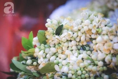 Bâng khuâng hương bưởi tháng ba