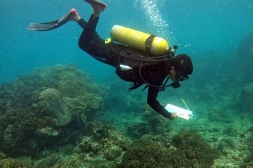 Bình Định tăng cường bảo vệ nguồn lợi thủy sản