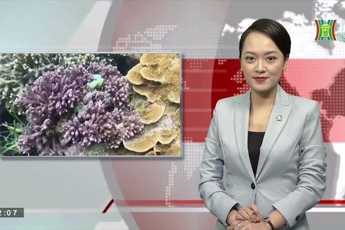 Nhìn ra thế giới (ngày 08/03/2023)