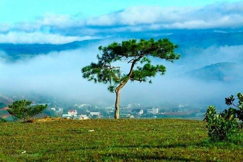 'Bỏ túi' 7 điểm check-in đẹp hút hồn ở Đà Lạt