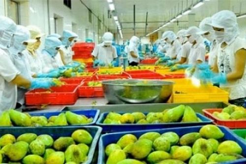 EU ra quy định mới về dư lượng arsen, hoạt chất isoxaben, novaluron... áp dụng trên nông sản, thực phẩm