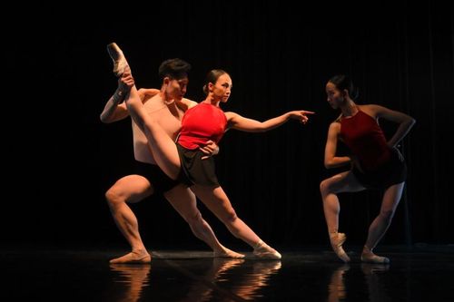 Vở ballet 'Đông Hồ' lấy cảm hứng từ bức tranh 'Đánh ghen', 'Đám cưới chuột'