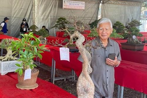 Đắk Lắk: Khai mạc Triển lãm trưng bày và Hội thi Sinh vật cảnh