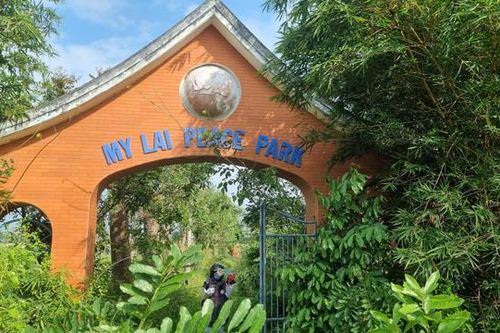 Cây cối mọc thành rừng ở công viên Hòa Bình – Mỹ Lai