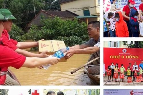 Rà soát hoàn thiện chính sách đối với hoạt động chữ thập đỏ