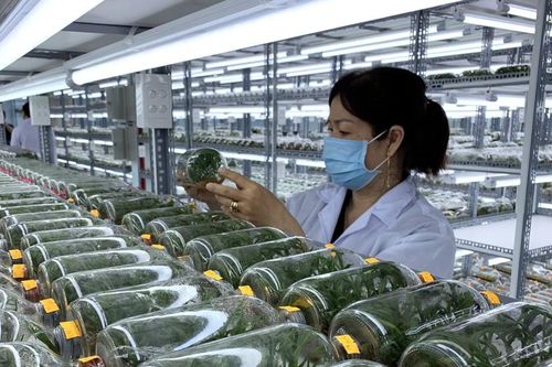 Tạo điều kiện cho lao động nữ thăng tiến