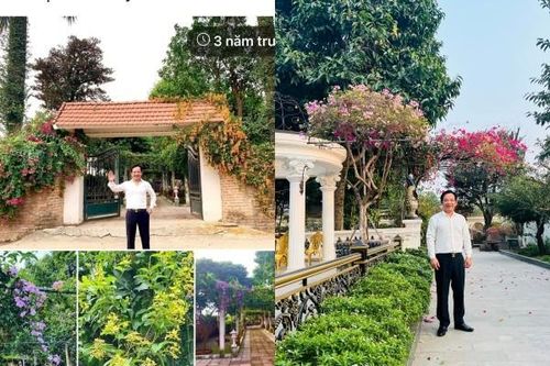 Cận cảnh 'biệt phủ' xưa và nay của nghệ sĩ Quang Tèo