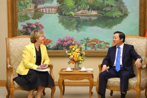 UNICEF có thể hỗ trợ Việt Nam xây dựng bộ chỉ số đánh giá về trẻ em