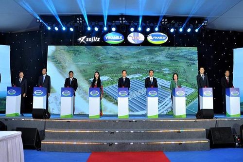 Doanh nghiệp Việt Nam - Nhật Bản bắt tay xây dựng thương hiệu bò Tam Đảo