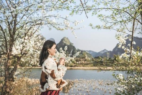 Mùa hoa Bảo Lạc
