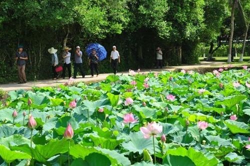 Nghệ An: Tổ chức các hoạt động Lễ hội Làng Sen năm 2023 mang đậm bản sắc văn hóa dân tộc