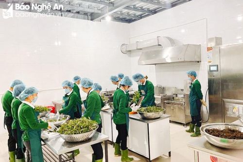 Các sản phẩm từ lươn Nghệ An xuất khẩu sang EU