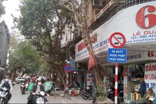 Đề cử giải Oscar 2023: Khi phụ nữ thịnh nộ