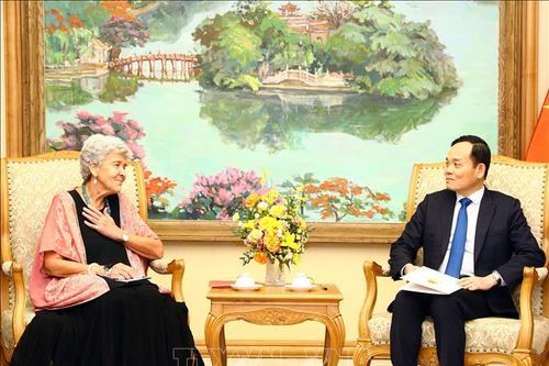 Chủ động hợp tác, duy trì quan hệ thương mại ổn định với Hoa Kỳ