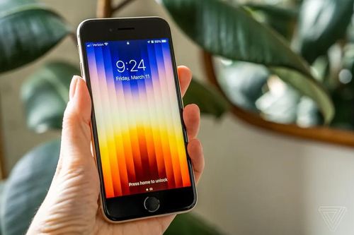 iPhone SE 4 có thể dùng màn hình OLED từ nhà cung cấp Trung Quốc