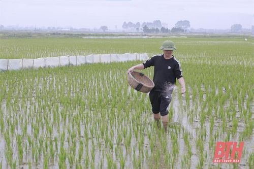 Sử dụng phân bón an toàn trong sản xuất nông nghiệp