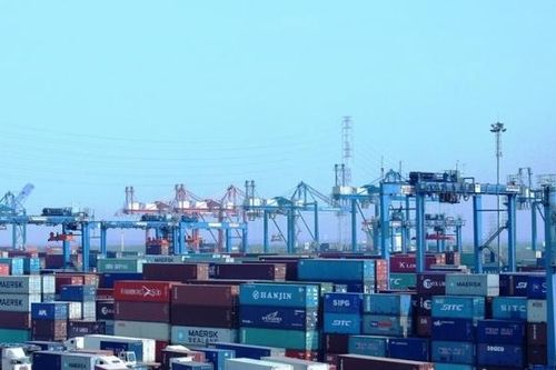 Ngừng thông quan một doanh nghiệp nợ thuế xuất nhập khẩu hơn 12 tỷ đồng