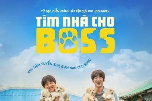 Tìm Nhà Cho 'Boss' – bộ phim chữa lành xứ Hàn không thể bỏ lỡ