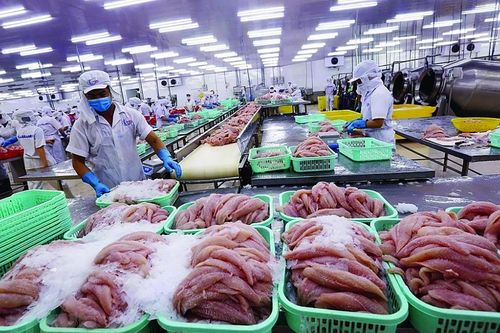 Sắp có Trung tâm giao dịch thủy sản Việt Nam tại Quảng Tây